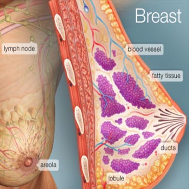 Dr. Pooja Nandwani Patel