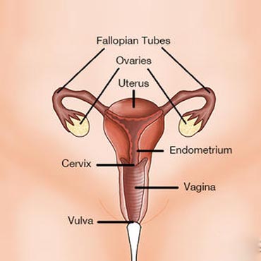 Dr. Pooja Nandwani Patel