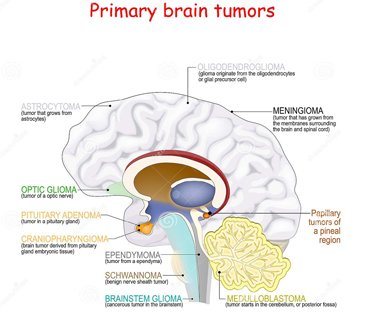 Dr. Pooja Nandwani Patel