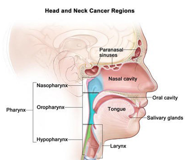 Dr. Pooja Nandwani Patel